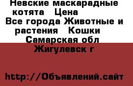 Невские маскарадные котята › Цена ­ 15 000 - Все города Животные и растения » Кошки   . Самарская обл.,Жигулевск г.